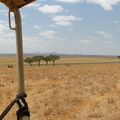 DSC01238